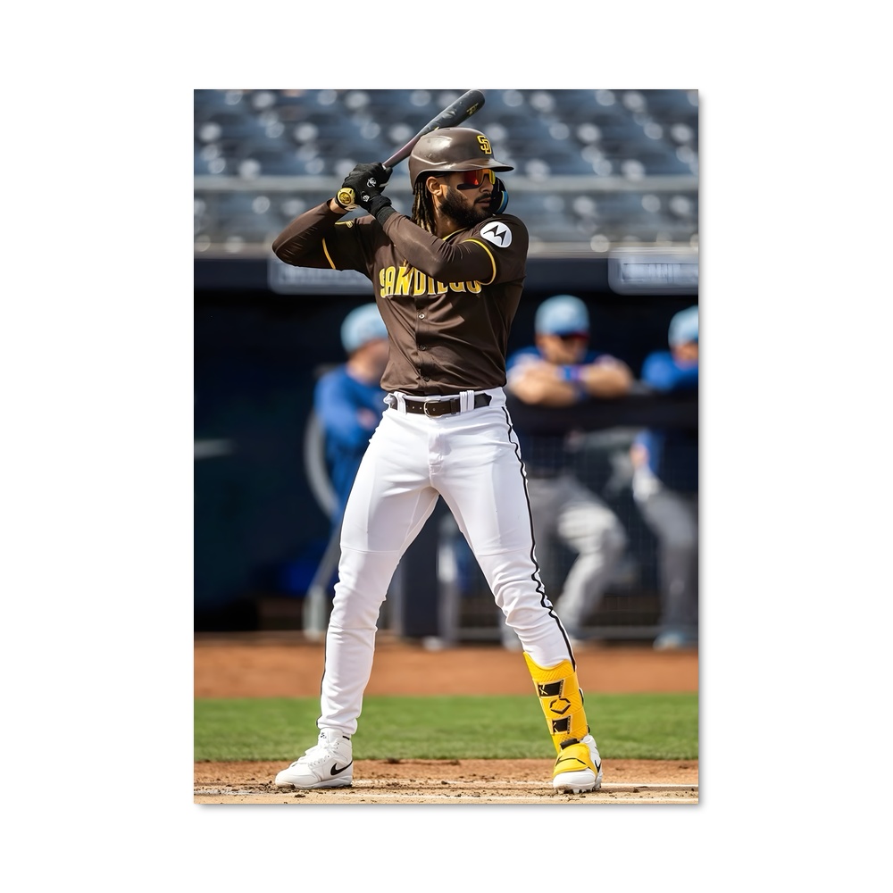 Poster Fernando de tatis